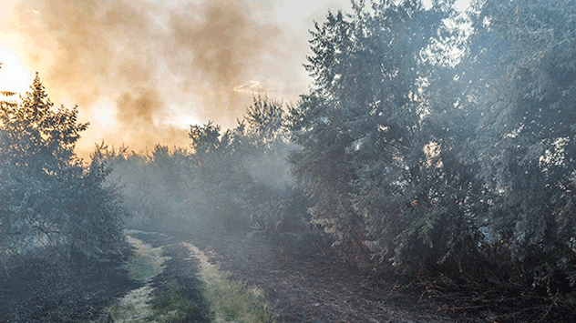 Wenn Sie Nummer 112 gewählt haben, beantworten Sie Fragen wie: Wo brennt es? Wie brennt es? Sind Menschen in Gefahr? Von wo aus melden Sie den Brand?