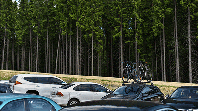 Parken Sie nur auf ausgewiesenen Parkflächen innerhalb der Kennzeichnungen, niemals auf Wiesen und Feldern oder direkt am Waldrand. 