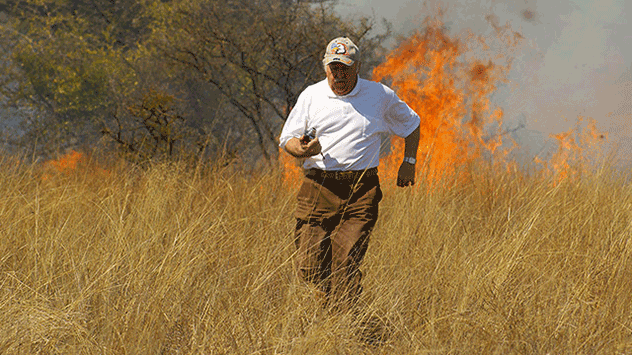 Werden Sie selbst von einem Waldbrand überrascht, flüchten Sie wenn möglich seitlich zur Windrichtung vom Feuer weg. 