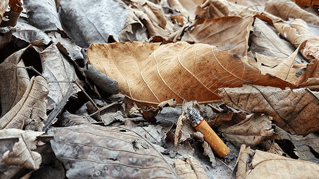 Bitte rauchen Sie nicht draußen in der Natur, wenn Waldbrandgefahr herrscht. 
