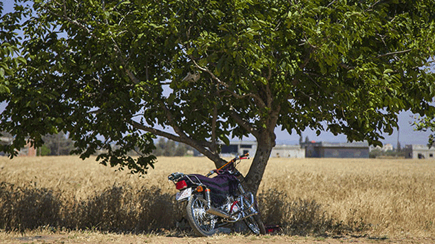 Fahren Sie weder mit dem Auto, dem Motorrad oder landwirtschaftlichen Nutzfahrzeugen auf Wald- und Feldwegen. 