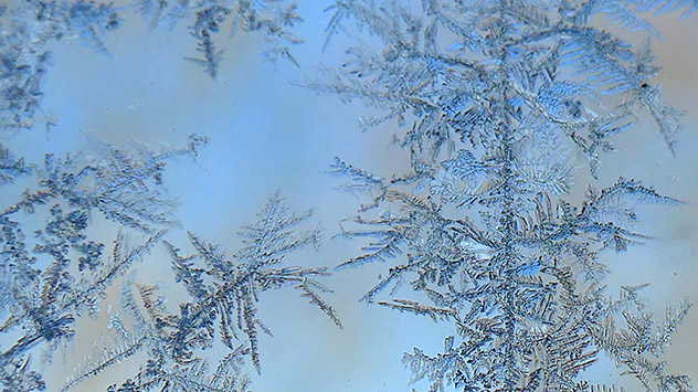 Eisblumen an einem Fenster