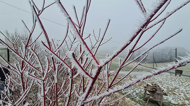Raureif in Annaberg-Buchholz: Die filigranen Eisnadeln erschaffen bizarre Kunstformen.