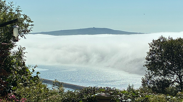 Thick sea fog rolling inland over a sunlit bay, with sparkling water, trees and garden in the foreground, and a hill rising above the fog under a clear blue sky.