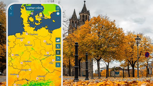 Wetterkarte und herbstliche Szenerie in Magdeburg mit buntem Laub und Dom im Hintergrund.