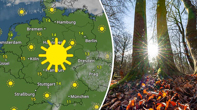 Geteilte Grafik: links eine WetterRadar-Karte von Deutschland mit viel Sonnenschein, rechts Sonnenstrahlen im Darßer Wald, aufgenommen am 12. März 2026.