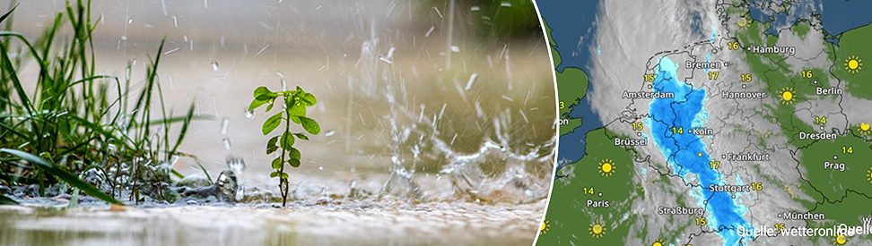Split-Bild: Links ein vom Regen durchnässter Garten, rechts das WetterOnline WetterRadar, das das Regenband am Dienstagmorgen über dem Südwesten Deutschlands zeigt (c) oksart1 / Shutterstock.com