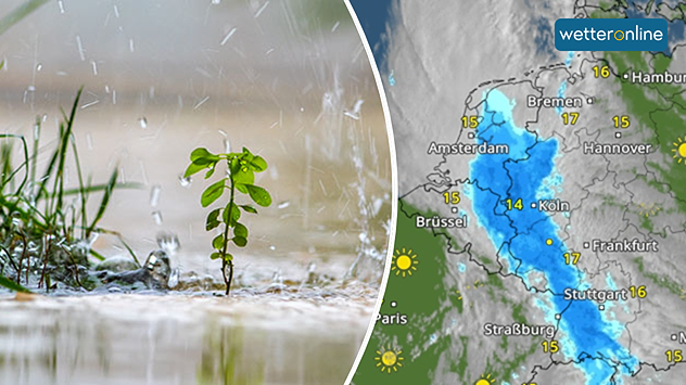Split-Bild: Links ein vom Regen durchnässter Garten, rechts das WetterOnline WetterRadar, das das Regenband am Dienstagmorgen über dem Südwesten Deutschlands zeigt 