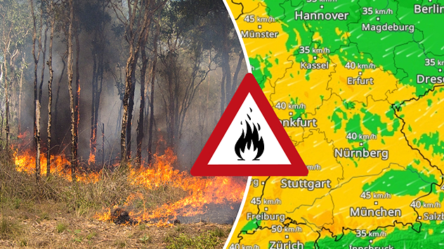 Dürre und Wind lassen in vielen Landesteilen das Waldbrandrisiko steigen.
