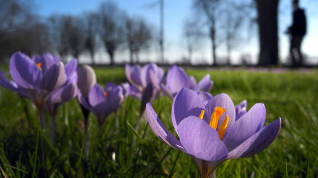 Der Rekord-März im Rückblick