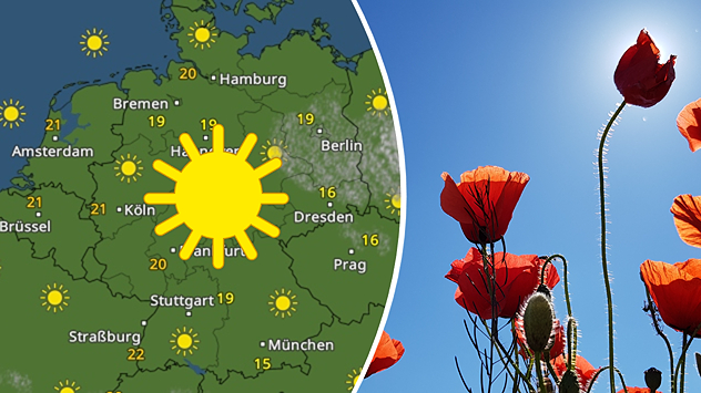 Geteilte Ansicht: Links eine WetterRadar-Karte mit vielen Sonnensymbolen über Deutschland; rechts rote Mohnblumen vor klarem blauem Himmel.