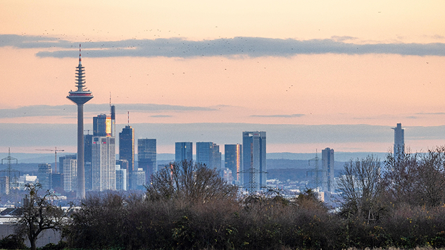 © dpa Die Bankenskyline von Frankfurt am Main ist im Abendlicht zu sehen während ein Vogelschwarm am Himmel fliegt.