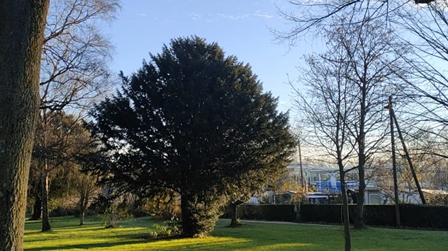 © Marlen Camara via WetterMelder Deutschland Park in Essen am Morgen mit blauen Himmel