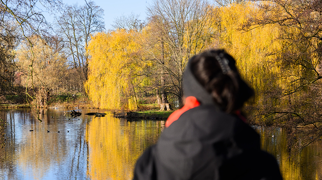 © dpa Trauerweiden spiegeln sich im Georgengarten in Hannover- Frau steht am Ufer
