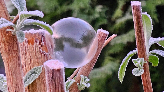 © Renate Albers via WetterMelder Deutschland gefrorene Seifenblase