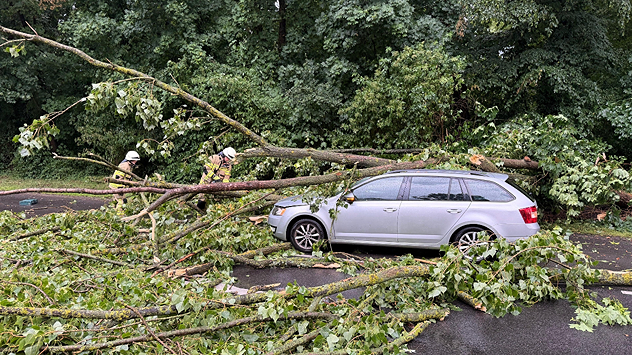 Ein Baum ist bei Köln auf ein Auto gestürzt.
