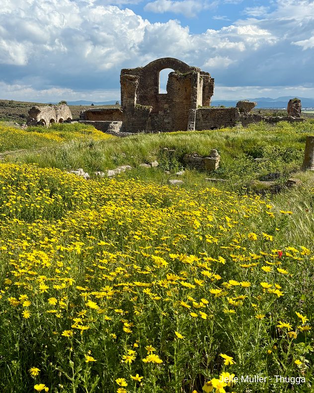 Des ruines antiques derrière un pré parsemé de fleurs jaunes, sous un ciel nuageux.