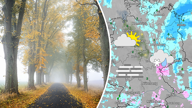 Links: Nebeliger Herbsttag mit Allee aus bunten Bäumen – trübe, kalte Wetterstimmung. Rechts: WetterRadar-Karte vom 5. Dezember zeigt dichten Nebel in der Mitte und Schneefall im Osten, besonders rund um Dresden – markiert durch Nebel- und Schnee-Symbole.