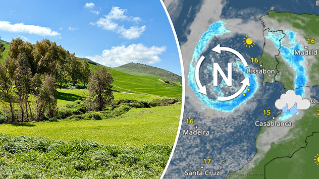 Oporavak vegetacije nakon kiša