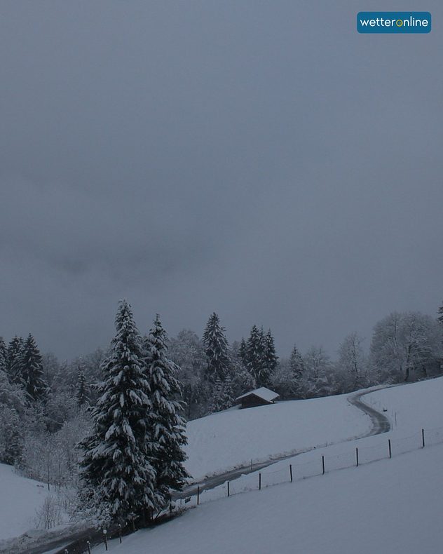 Pente enneigée avec sapins, cabane et ciel brumeux. Un petit chemin traverse le paisible paysage hivernal.