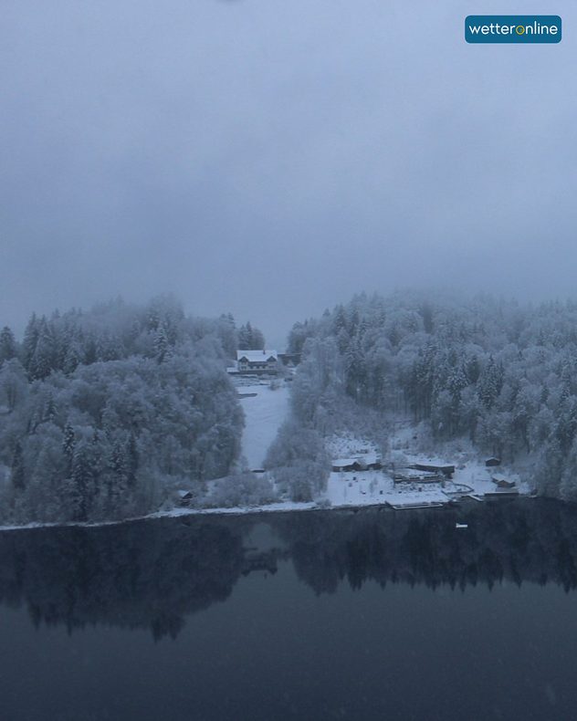 Pente enneigée avec une maison au bord d'un lac tranquille, entourée de forêts gelées. Une légère brume recouvre le paysage hivernal.