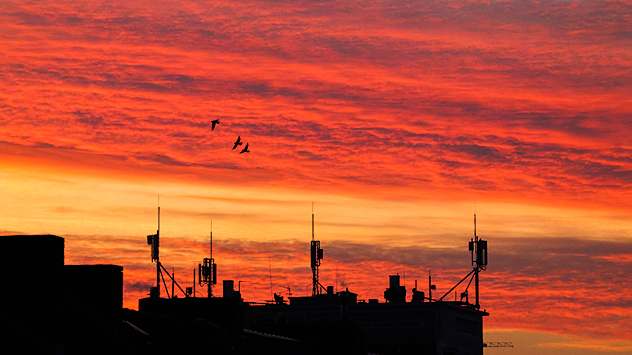 In Bremen leuchtet der Himmel in tiefen roten Farben.