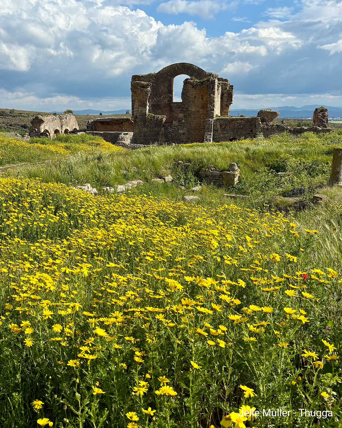 Antike Ruinen hinter einer Wiese mit vielen gelben Blumen unter wolkigem Himmel.
