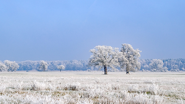 Trotz blauen Himmels und viel Sonnenschein ist die Landschaft in Reif gekleidet. 
