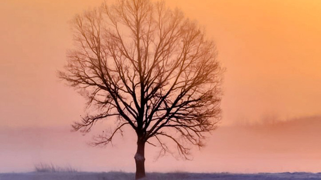 In der Dämmerung sieht Landschaft ganz anders aus. Dabei entstehen viele schöne Motive.