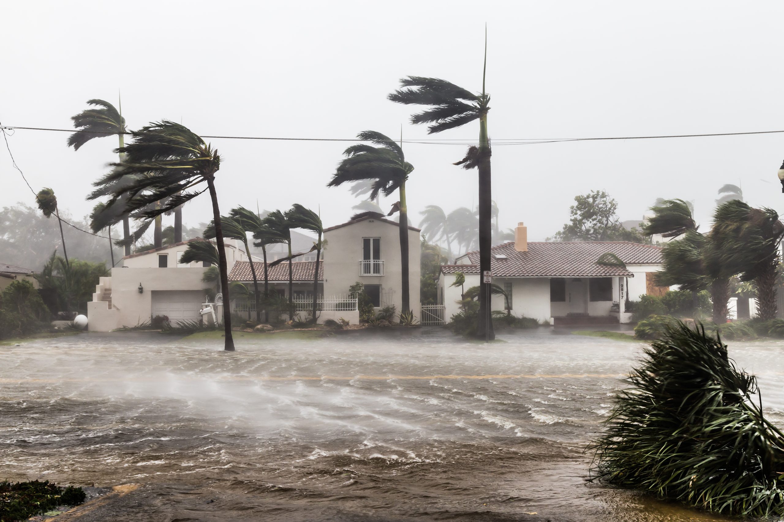 Shutterstock image of neighborhood after a hurricnae