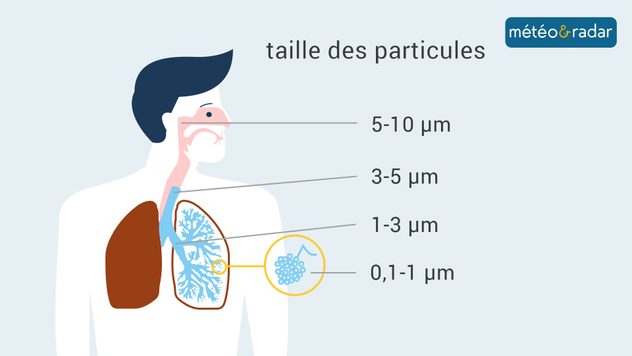 Taille des particules