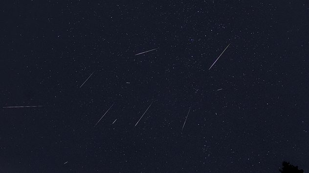 Dunkler Himmel voller Sterne. Mehrere Sternschnuppen fliegen in verschiedene Richtungen - typisch für ein Meteor-Schauer. (c) Miloslav Rohacek