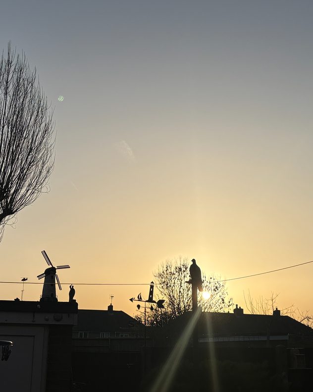 Silhouetted rooftops at sunset with a small decorative windmill, weather vane, and bird statue on poles, as the low sun shines through bare tree branches.