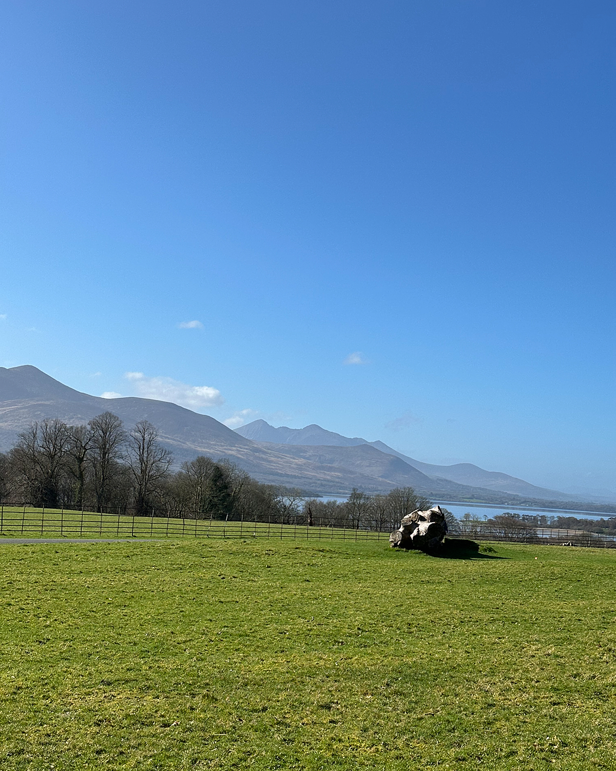 Wide green field with a large tree stump in the foreground, bare trees along a fence line, and distant mountains and a lake under a clear blue sky.