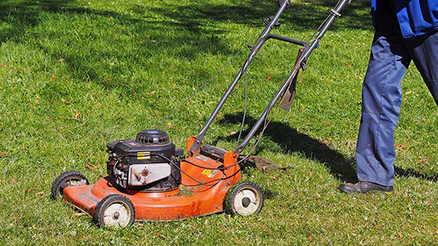 Mindestens einmal wöchentlich sollte man den Rasen mähen, damit er sich schön dicht entwickelt, bei Trockenheit seltener, bei Nässe nie. 