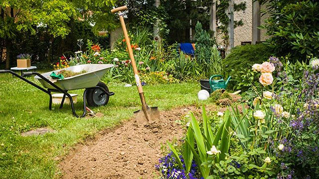 Tulpen und Co. sind nun definitiv verblüht und die gelb gewordenen Blätter können über dem Boden abgeschnitten werden. 