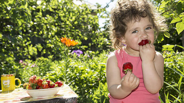 Eine besonders schöne sommerliche Gartenarbeit ist das Ernten von reifem Obst und Gemüse. 