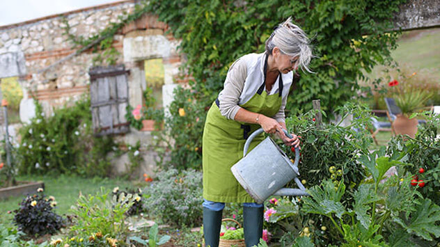 Getränkt wird spätestens, wenn die Blätter der Pflanzen und Bäume anfangen zu hängen. 