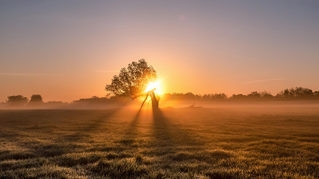 Nebelstimmung am Morgen in Tangermünde