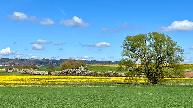 Sonniger Maifeiertag in Korbach