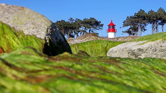 Schönes Wetter auf Hiddensee