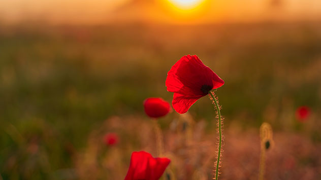 Anschließend zeigt sich das Wetter von seiner besten Seite. 
