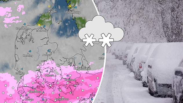 Kombineret grafik med vejrradar over Danmark og foto af biler dækket af sne, der illustrerer kraftigt snevejr.