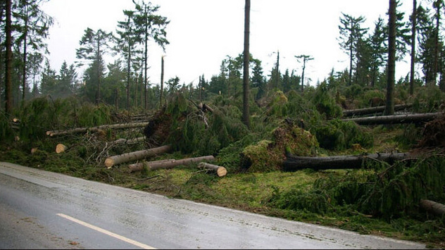 Jahrestag von Orkan Kyrill