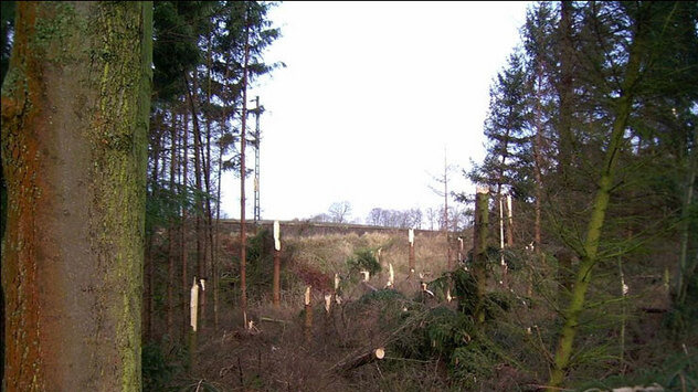 Jahrestag von Orkan Kyrill