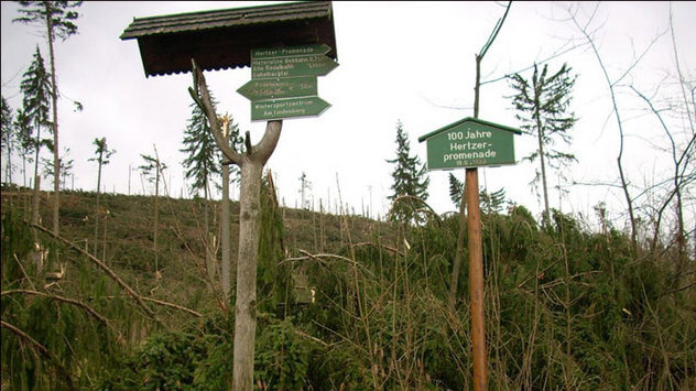 Jahrestag von Orkan Kyrill