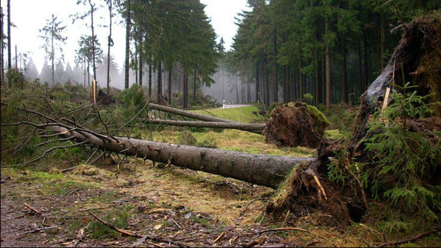 Jahrestag von Orkan Kyrill