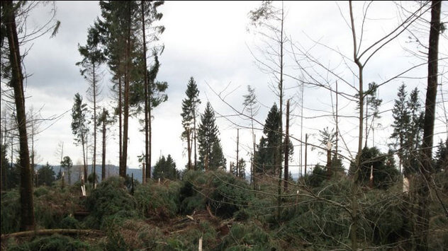 Jahrestag von Orkan Kyrill