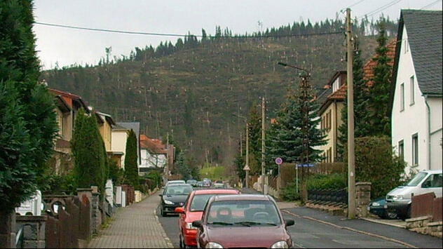 Jahrestag von Orkan Kyrill