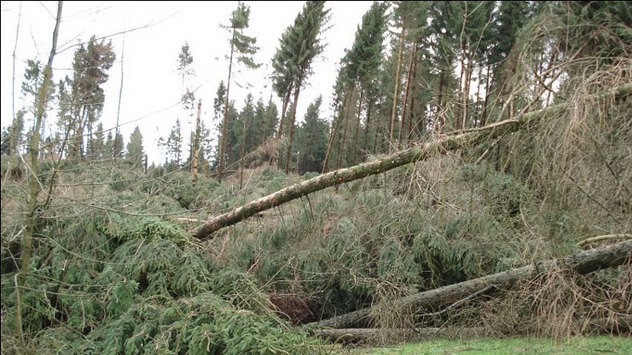 Jahrestag von Orkan Kyrill